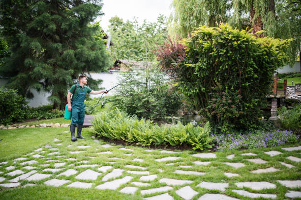 Lawn Renovation and Restoration in Hoschton, GA